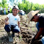 Planting better crops
