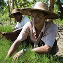 Conservation efforts honored in Myanmar