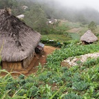Timor-Leste: Fighting hunger in a neglected nation