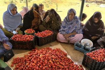 A group of people in a agricultural cooperative meeting with their tomato harvests. 