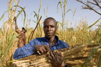 farmer holding crops