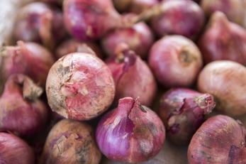 A pile of red onions.