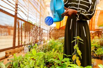 A person watering plants with a blue plastic watering can.