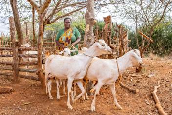 Mercy Corps’ AgriFin program in Kenya utilizes a digital partner network that farmers like Lucia can access via mobile phones to help improve their livelihoods and resilience to climate change.