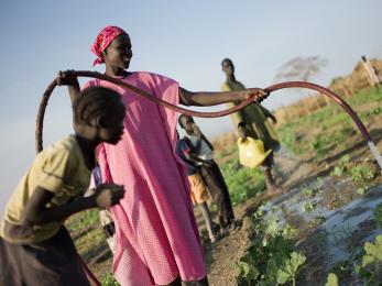 People watering crops in sudan