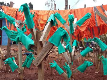 Image: turquoise rubber gloves are hanging to dry after being sanitized