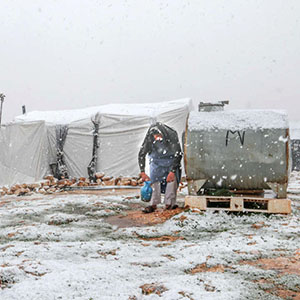 Syria Syria