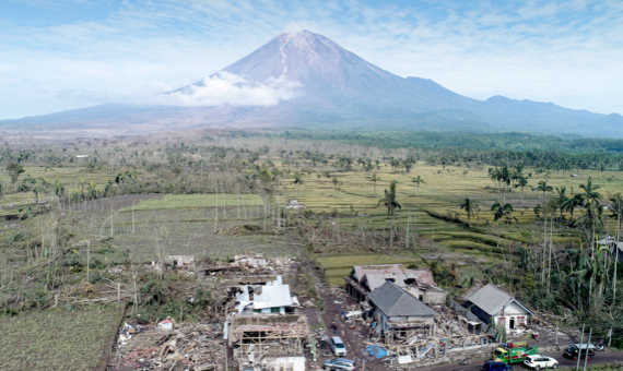 Rebuilding from ashes