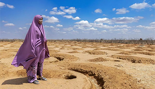 Digital tools help restore rangelands