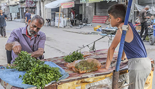 What you need to know about famine