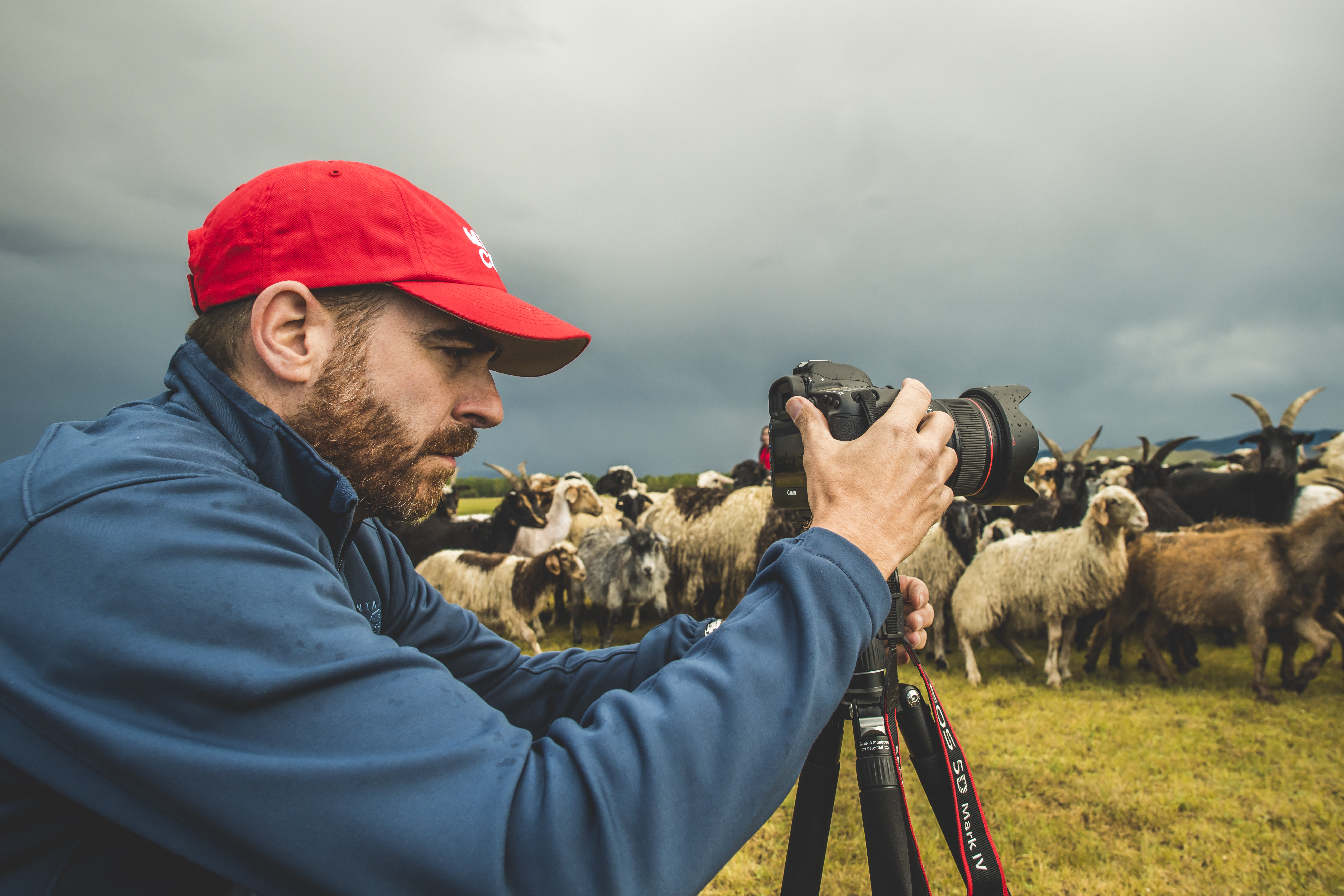 Ezra Millstein, senior content producer, captures Mercy Corps’ impact on people and communities with his camera. Here, he photographs herders in Altan-Ovoo, Mongolia, working with us to keep their cattle, sheep and other animals free of insects and disease. Photo: Sean Sheridan for Mercy Corps