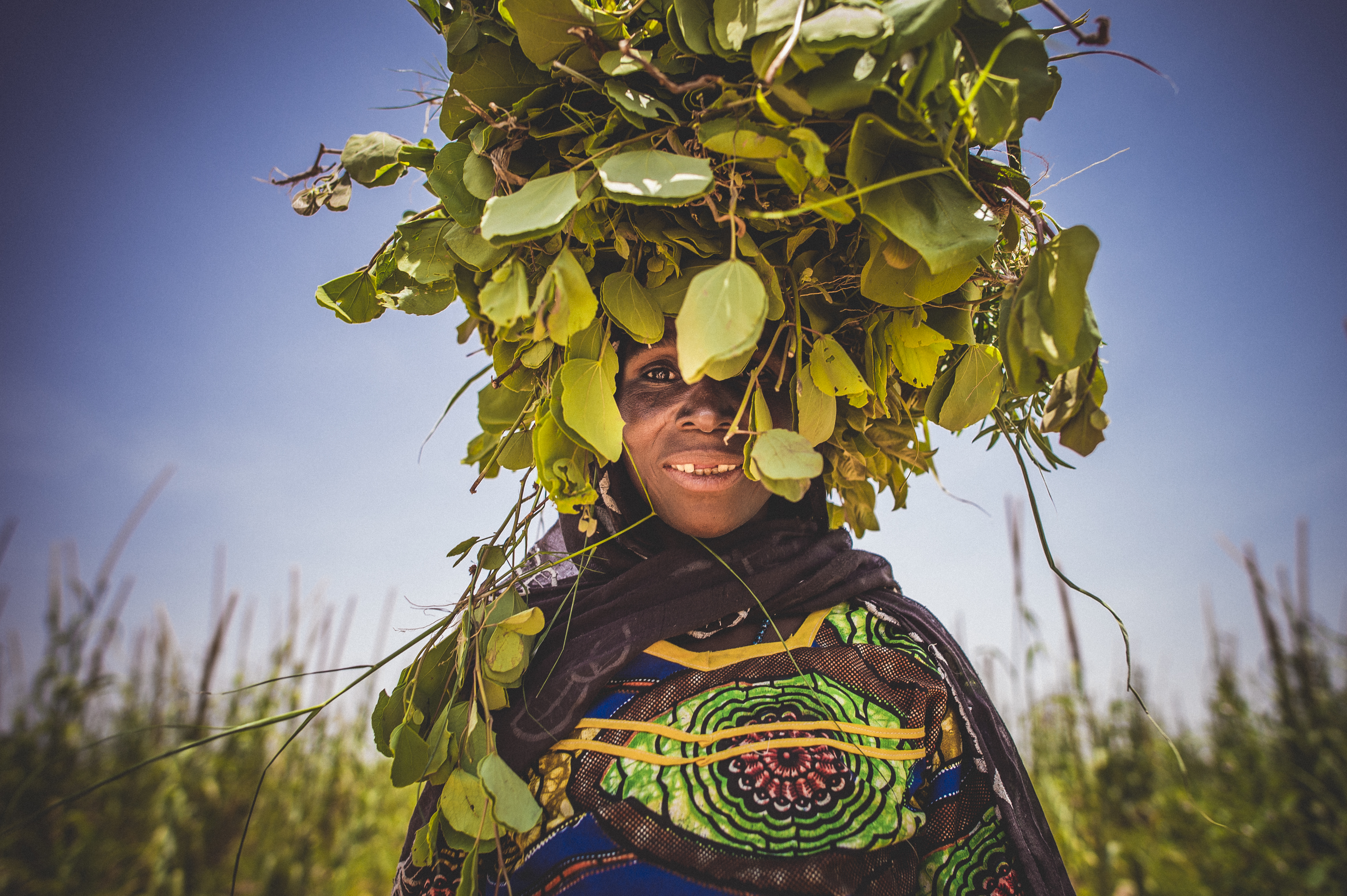 A woman in brightly colored clothing carries green cassia leaves in a bundle on her head in rural Niger. There is a blue sky behind her.