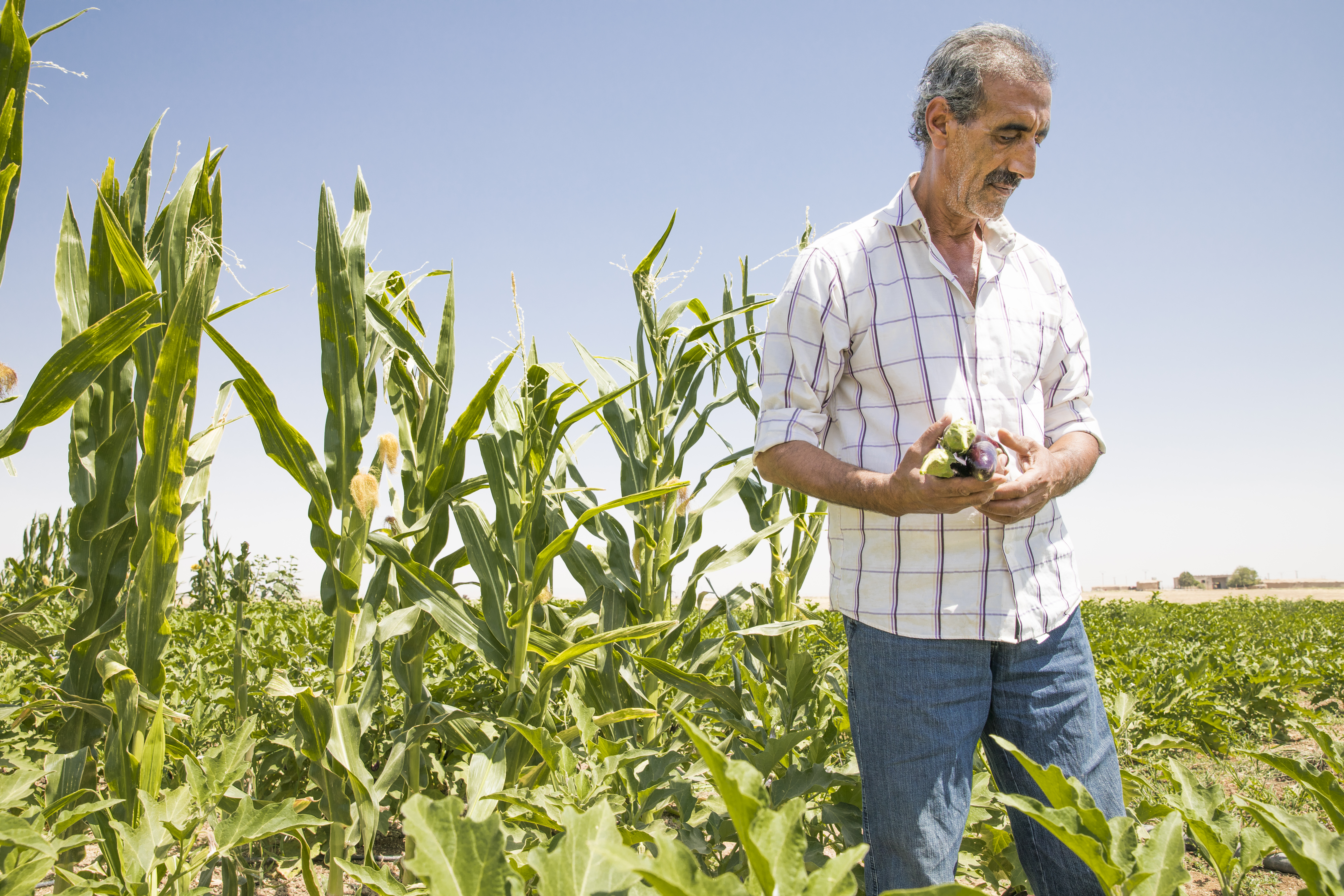 Abu Goubran pictured in a green field