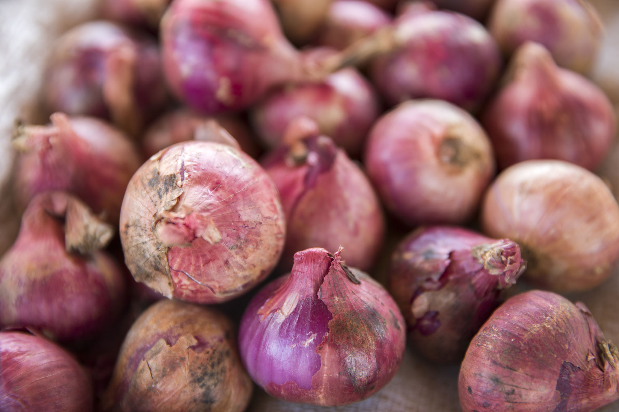 A pile of red onions.