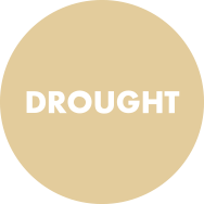 Drought