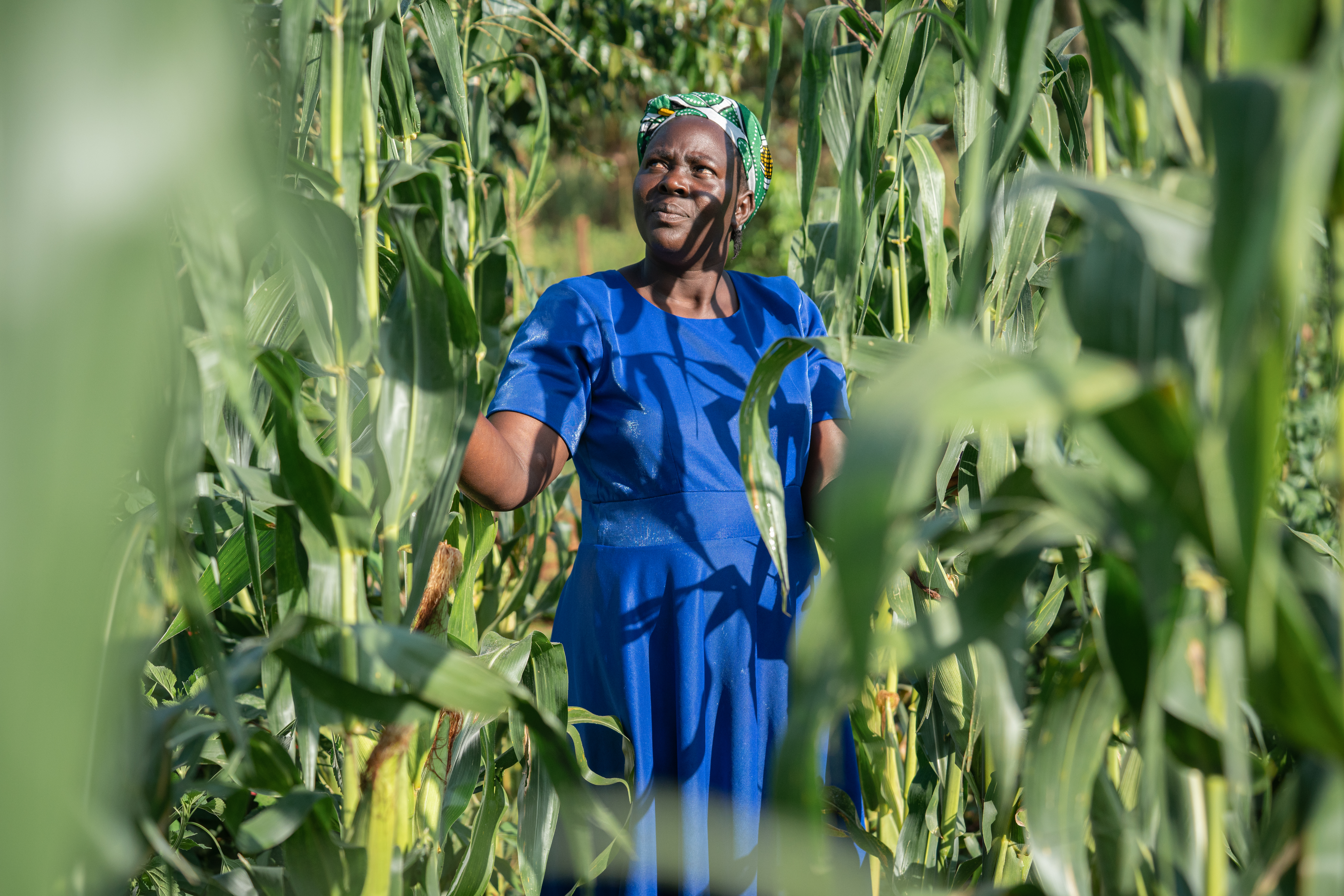 Smallholder farmer rose siama standing among crops.