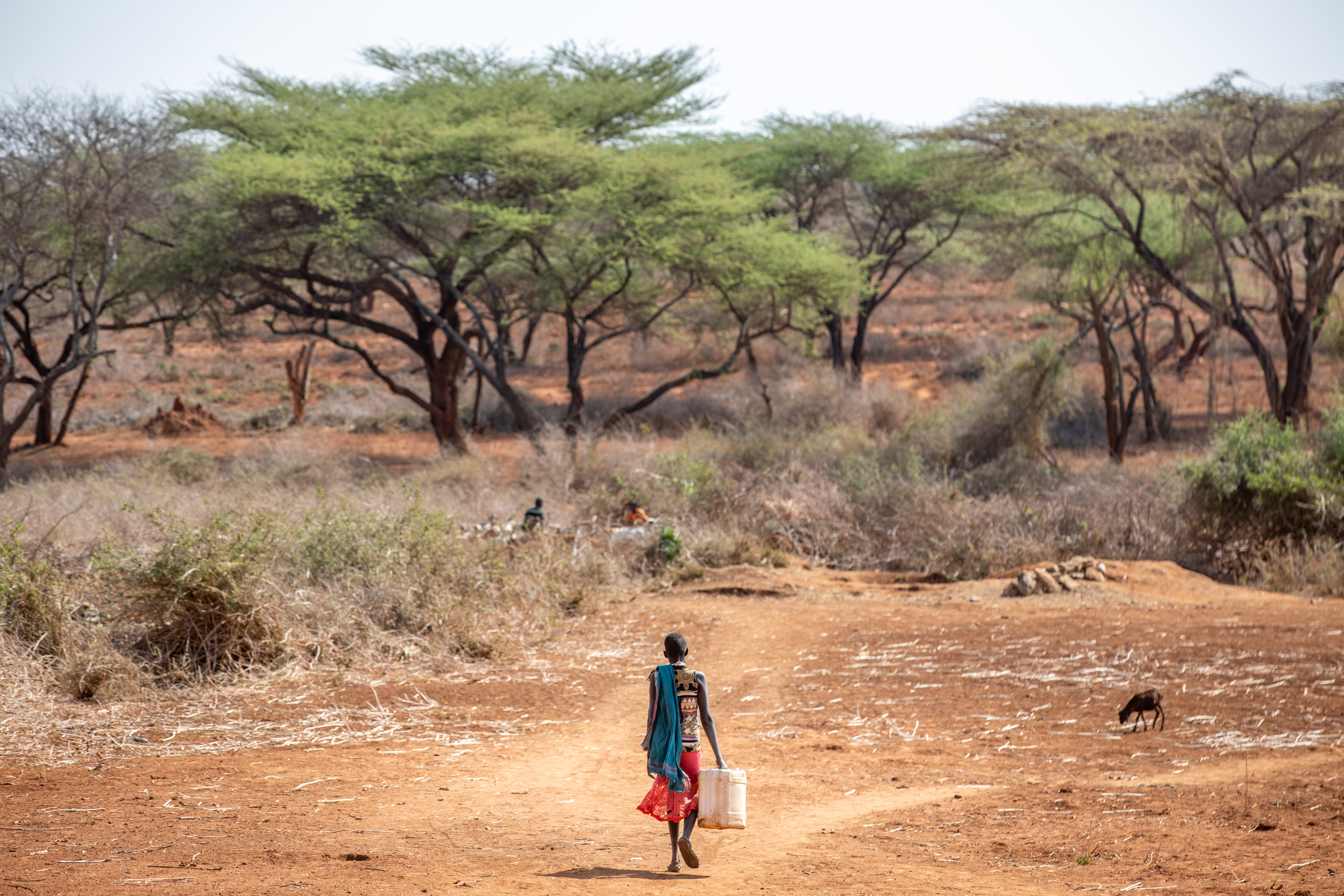 A person walking to fetch water.