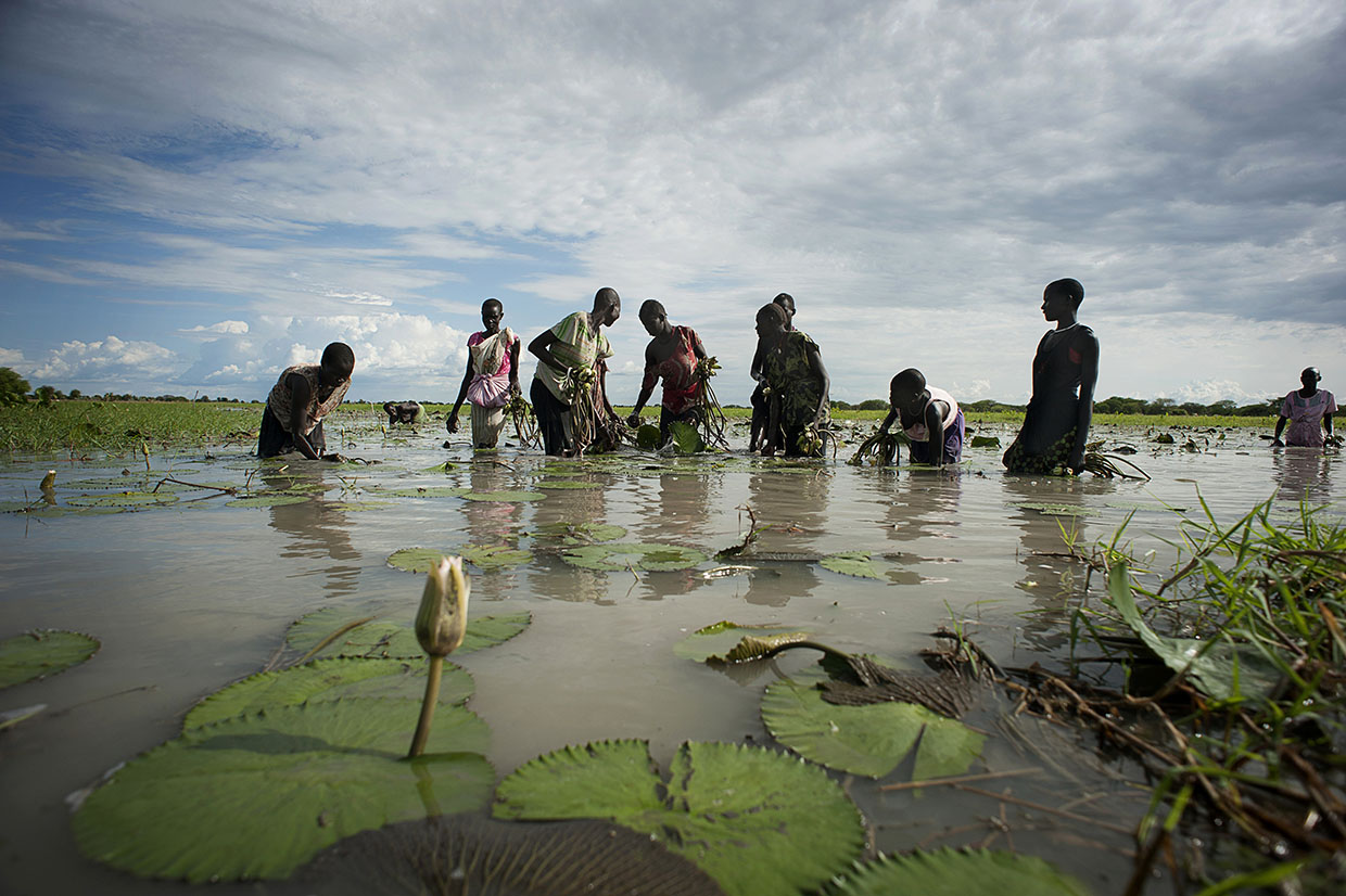 South Sudanese folks work together in lake.