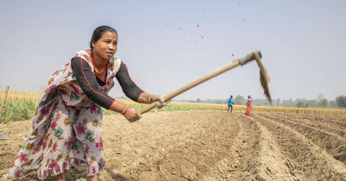 Heifer Village Nepal: Serious Games Showing Solutions To World Hunger