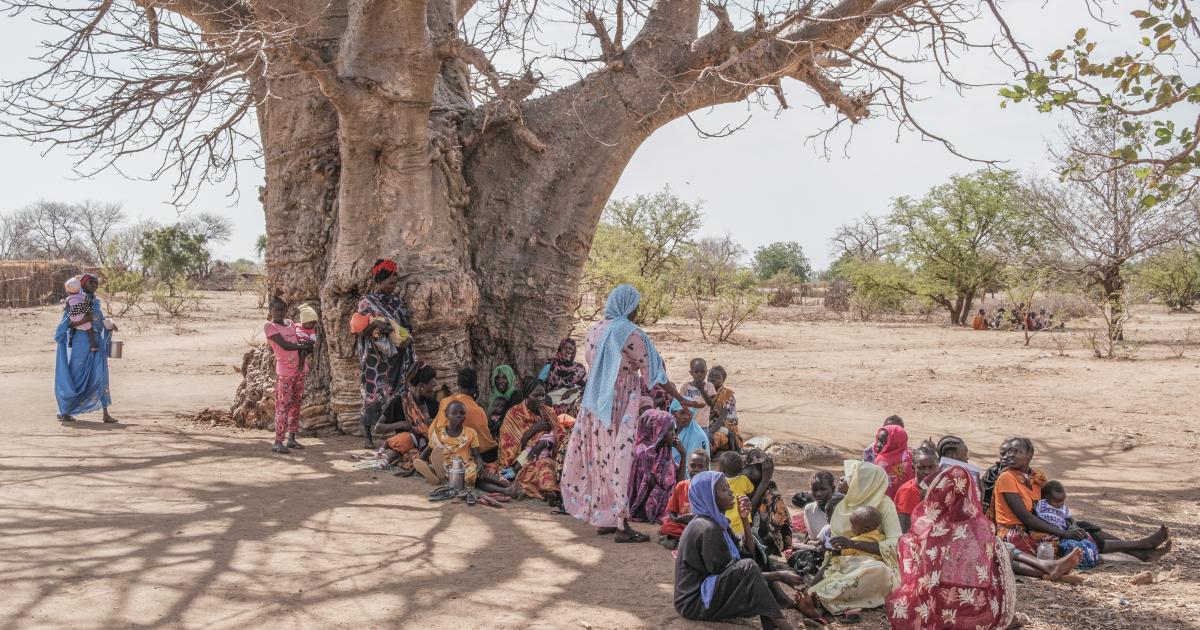 The facts: The crisis in Sudan