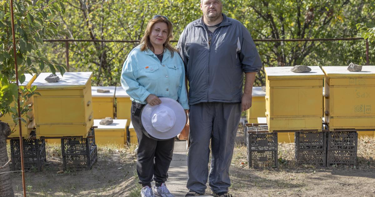 Four years on: Ukrainians rebuild as the war continues