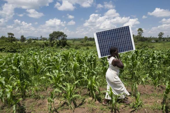 Woman carrying solar panel
