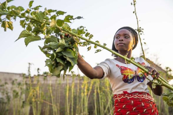 A person picking vegetables in front of their family's home.