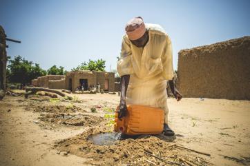 A man watering a small plant using a yellow water container