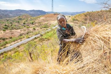 Woman cutting tall grass on a steep hillside