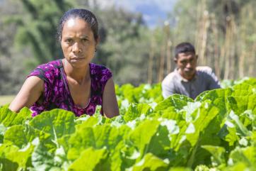 Woman and man working in a leafy green crop