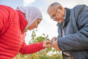 Two jordanians examine their agricultural crops.