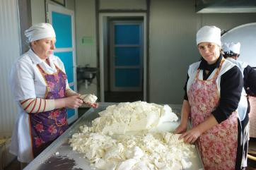 Two people make cheese.