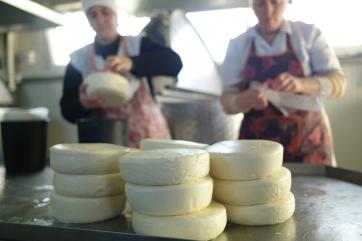 A stack of cheese on a table.