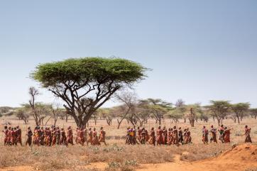 Women—mothers and grandmothers—walking two kilometers from their village in scorching heat to the dam to pray for rain.