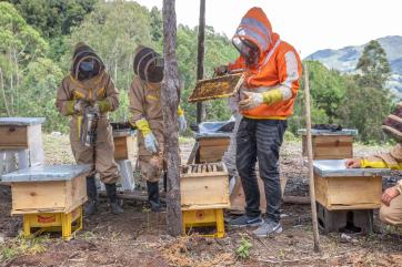 Alexander sanchez (24, orange jacket) is an ecologist, farmer and beekeeper, who is passionate about living in harmony with nature and ensuring that his work gives back to the earth.
