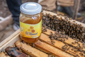 A jar of honey sits atop beehives that are owned by participants in a mercy corps beekeeping entrepreneurship project. 