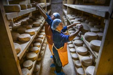 Jordanian cheesemakers in storage facility.