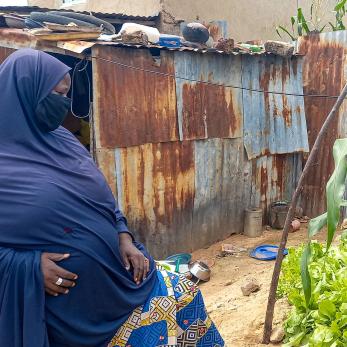 A person in Nigeria overlooking their vegetable garden.