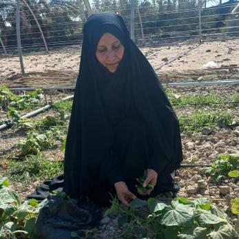 Iraqi farmer working with her crops.