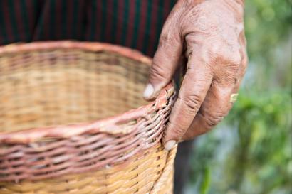 One hand holding a basket