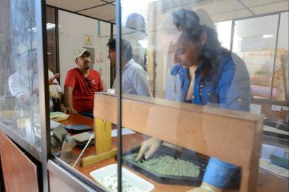 People working in a lab setting