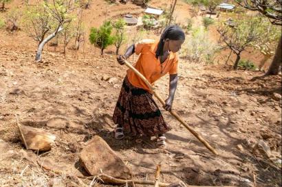 Woman farming in ethiopia