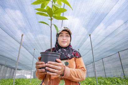 Farmer in greenhouse holding a single plant