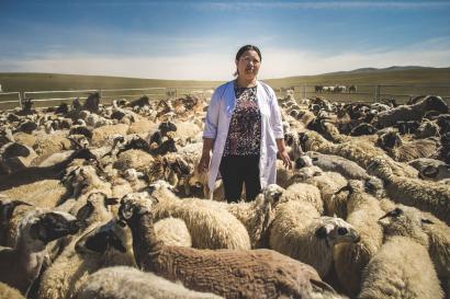 A person standing among a herd of sheep.