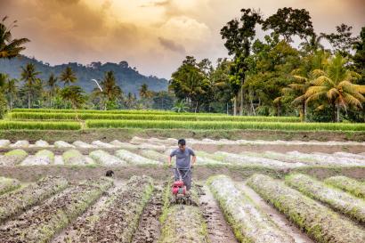 A framer working a field.