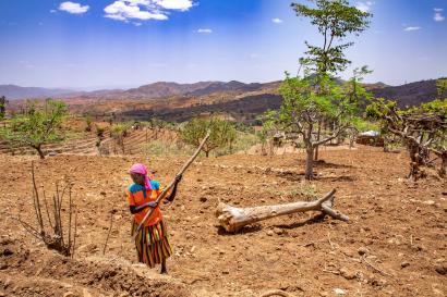 A person using a farming tool to work the field at their home.