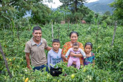 Guatemalan family in their agricultural field.