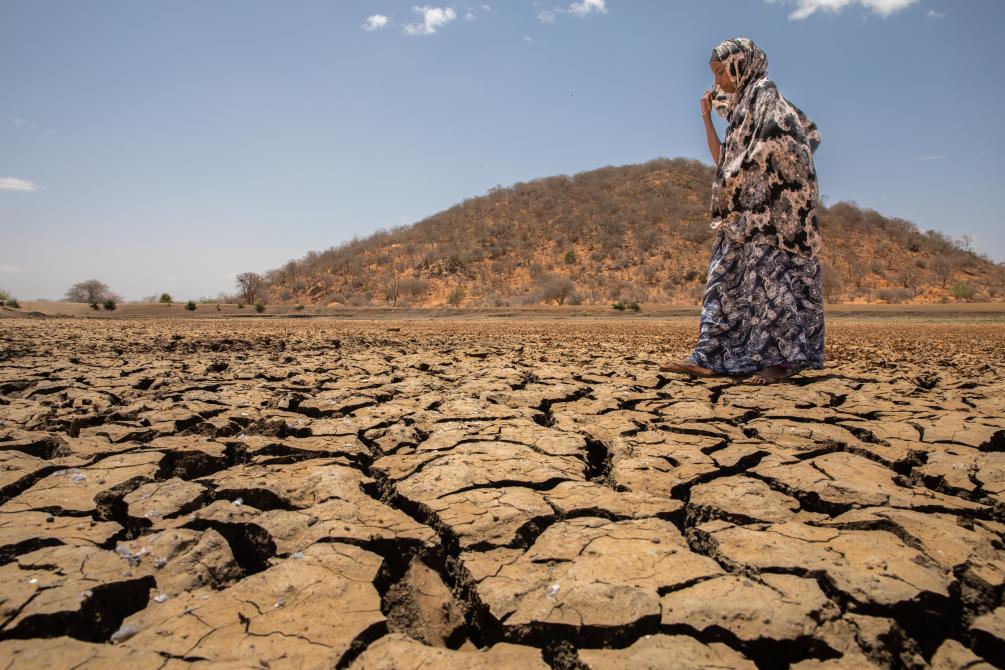 Show solidarity with people most affected by climate change’s effects