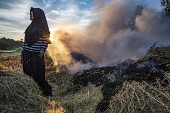 Woman in field in indonesia, lit by sun from behind