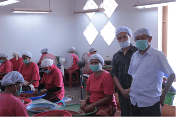 Workers at pt ollup in uniforms with hair nets and face masks